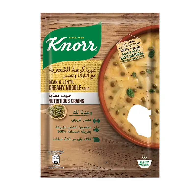 KNORR CREANY NOODLE SOUP 124G